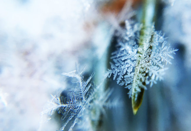 pompe à chaleur de votre piscine en hiver ?